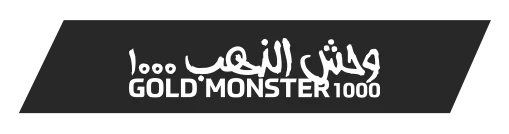 Erzurum Minelab Gold Monster 1000 - Gold Monster 1000 küçük altın dedektörü